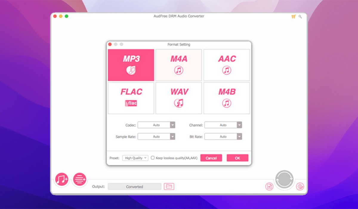AudFree Audio Converter screenshot 2